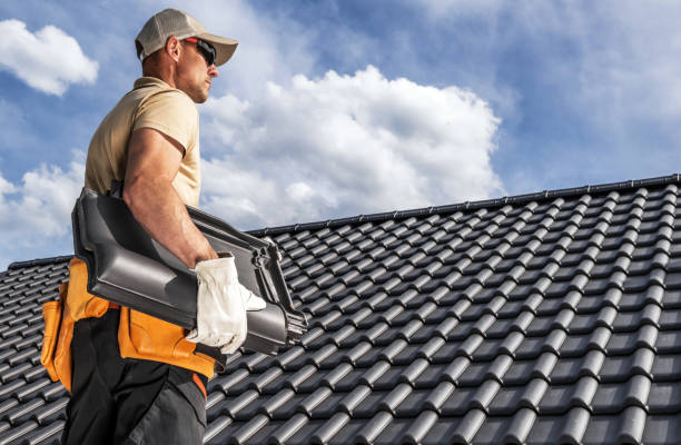 Best Gutter Installation and Repair  in Ladysmith, WI